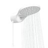 ducha_moment_eletronica_7500w_220v_branco_zagonel_1493_1_fce55f6d977c4e24fce55b3d3b9c8d1f