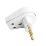 Pino Macho Gigante 2P 10A 250V Branco