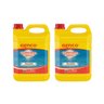 kit 2 genclor estabilizado 5l limpeza agua piscina genco